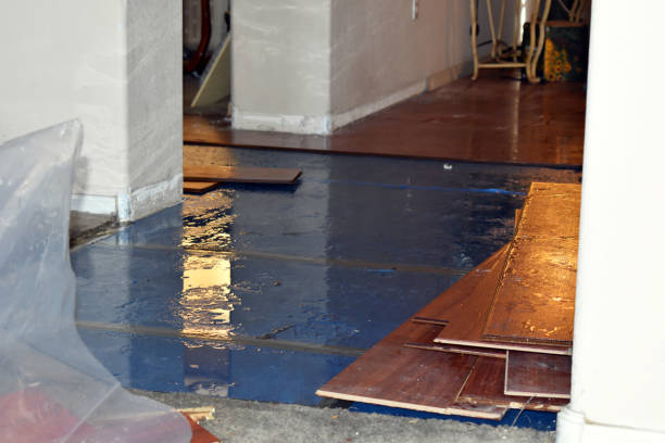 Professional Sewage Cleanup technician working in Ada, MI